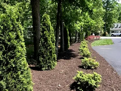 Landscape Renovation, Richmond, VA Landscape Renovation, Richmond, VA