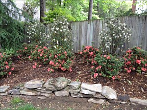 Greenery & Seasonal Planting