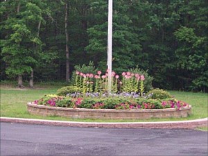 Commercial Landscaping