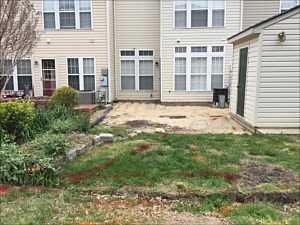 Paver Patio and Landscaping